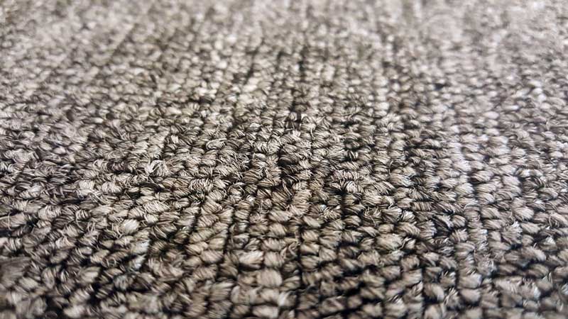 moth free carpet in close-up