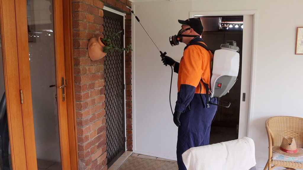 Pest control technician performing inspection in Holland Park