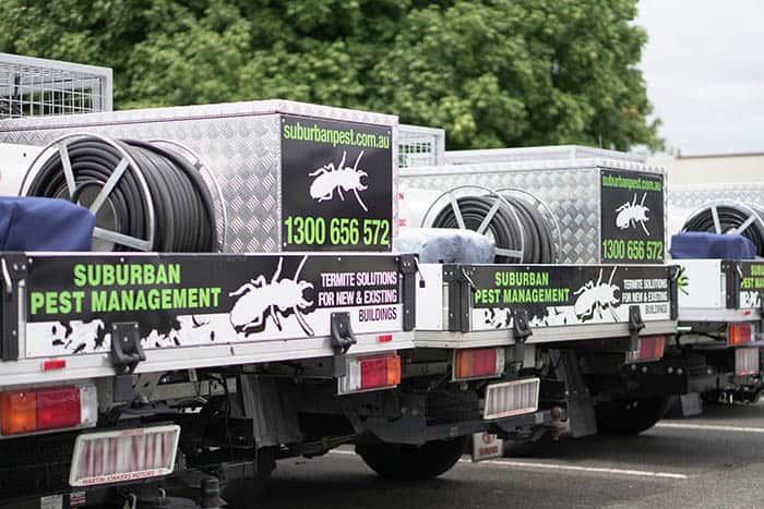 Professional pest control fleet vehicles in Everton Park