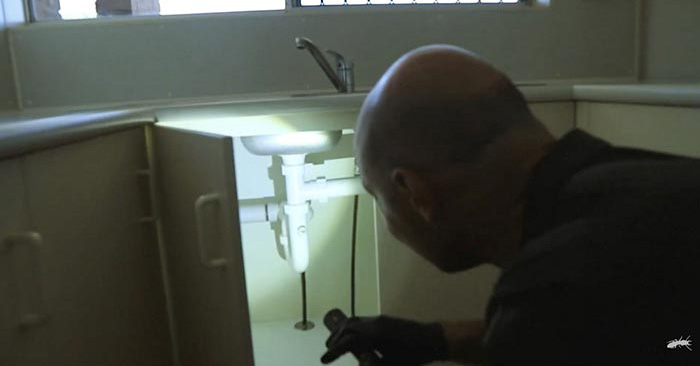 Conducting a pest inspection - Pest Control in Kallangur